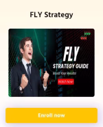 Trademix Fly Strategy 2025