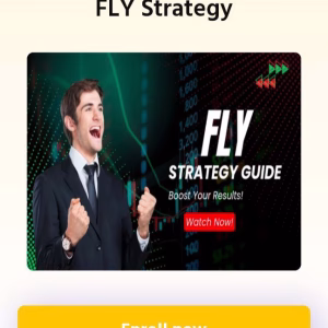 Trademix Fly Strategy 2025