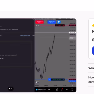 Dumb Money Concepts​ (Powell Trades)